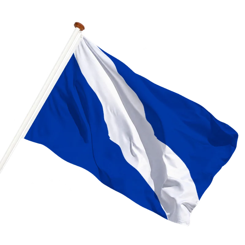 Vlag van Hengelo