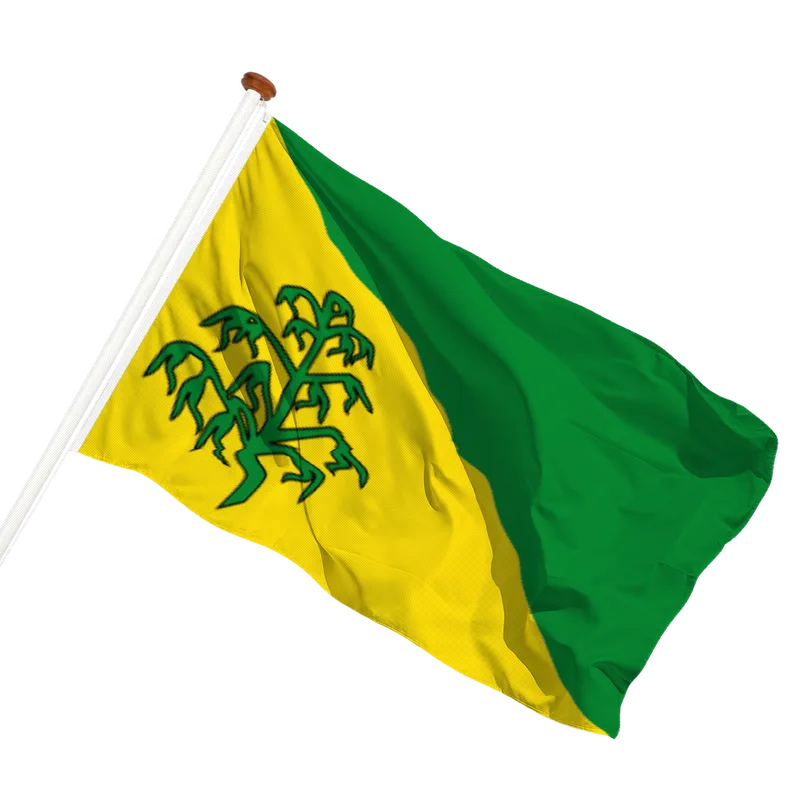 Vlag van Hiaure