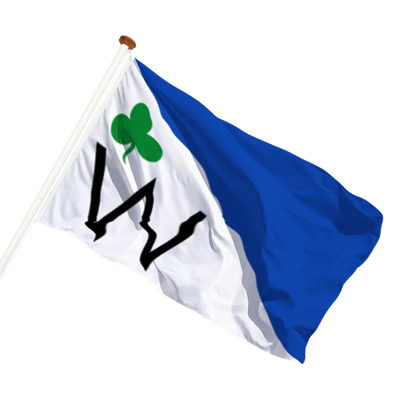 Vlag van Raard