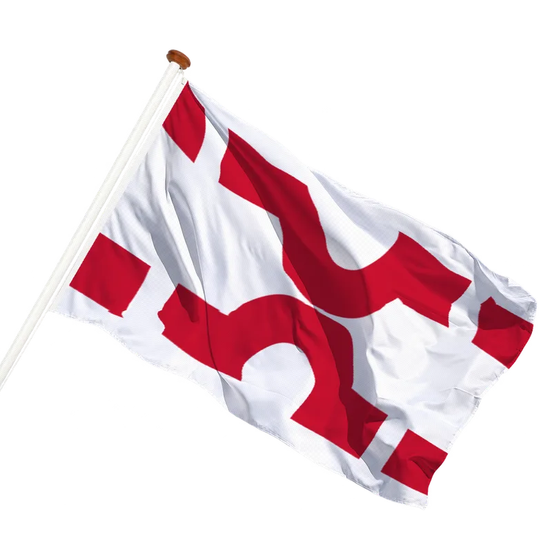 Vlag van Losser