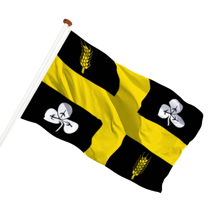 Vlag van Raalte
