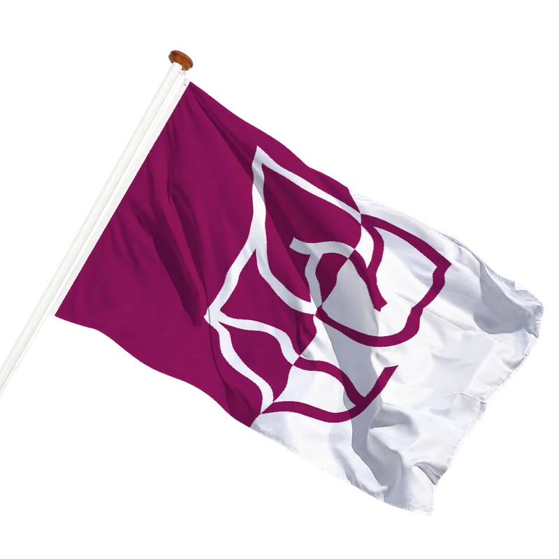 Vlag van Rijssen-Holten