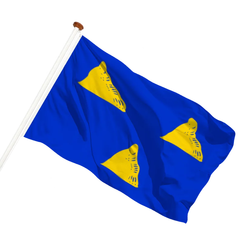 Vlag van Tubbergen