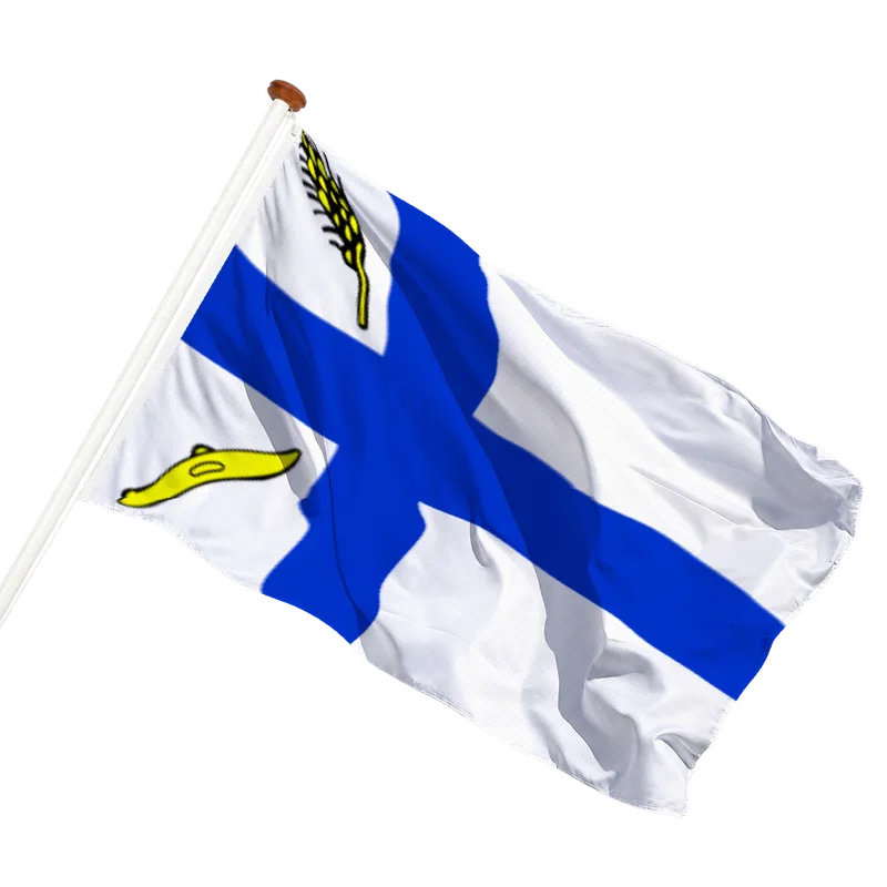 Vlag van Wierden