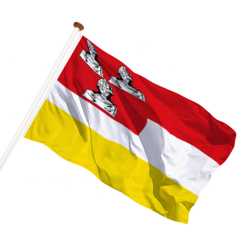Vlag van Eemnes