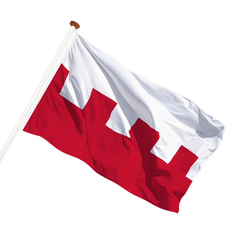 Vlag van Rhenen