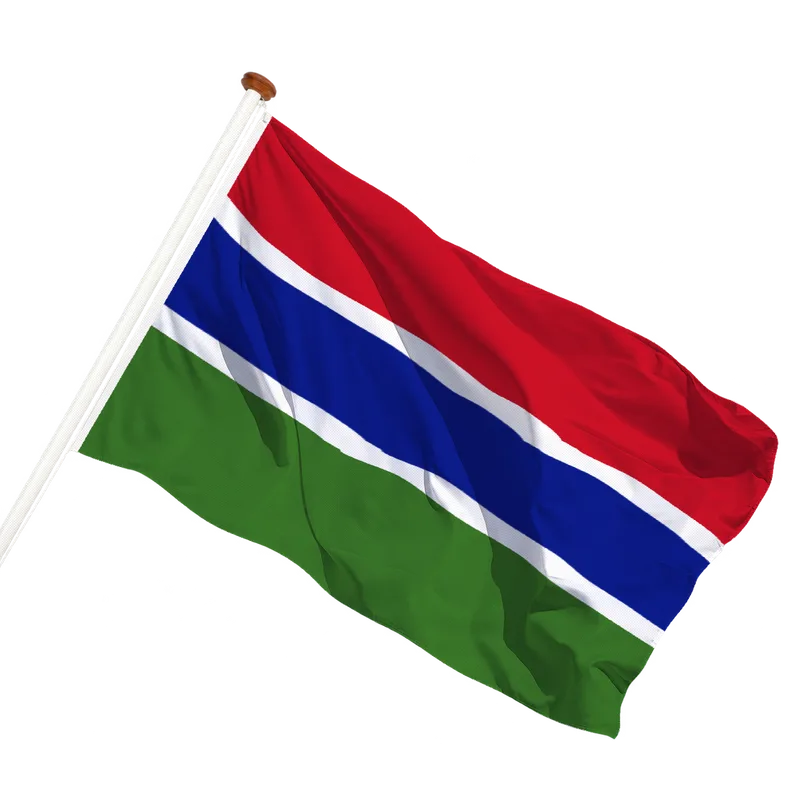 Vlag van Gambia
