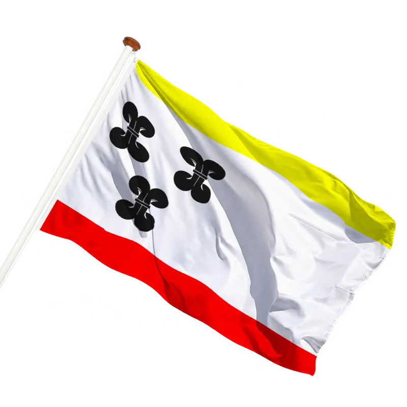 Vlag van Vianen