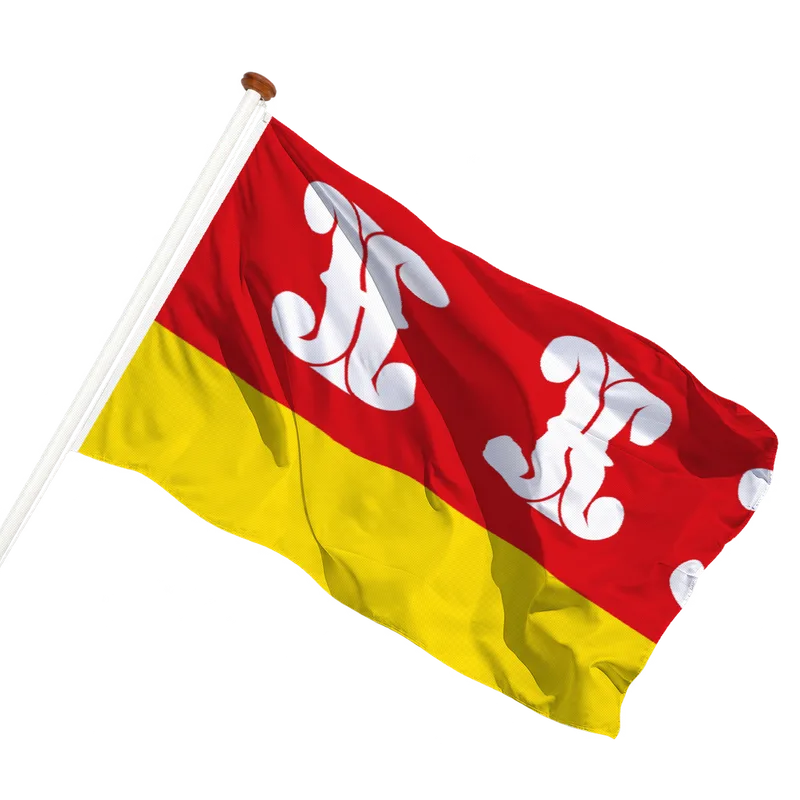 Vlag van Wijk bij Duurstede