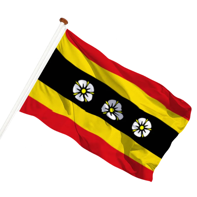 Vlag van Ruinen
