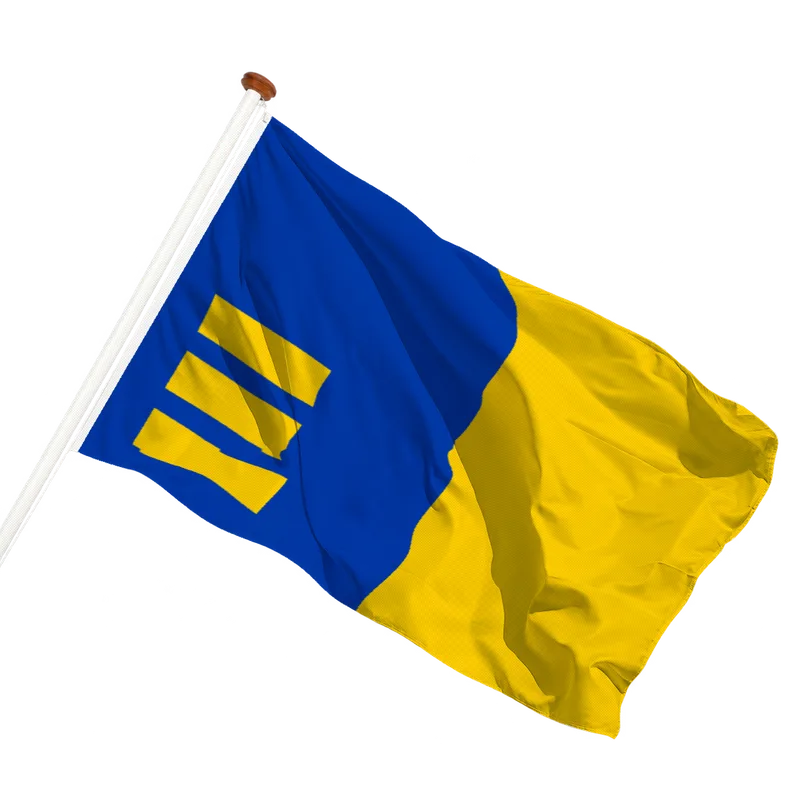 Vlag van Meijel