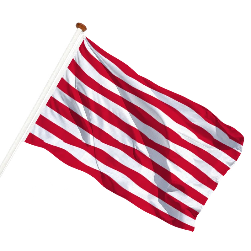 Vlag van Goes