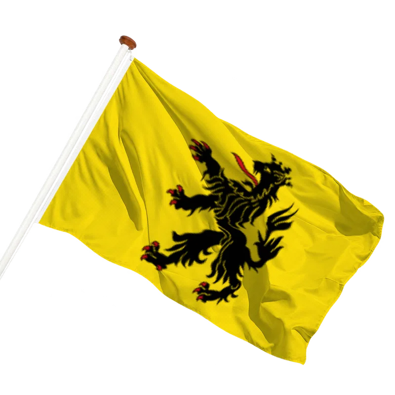 Vlag van Hulst