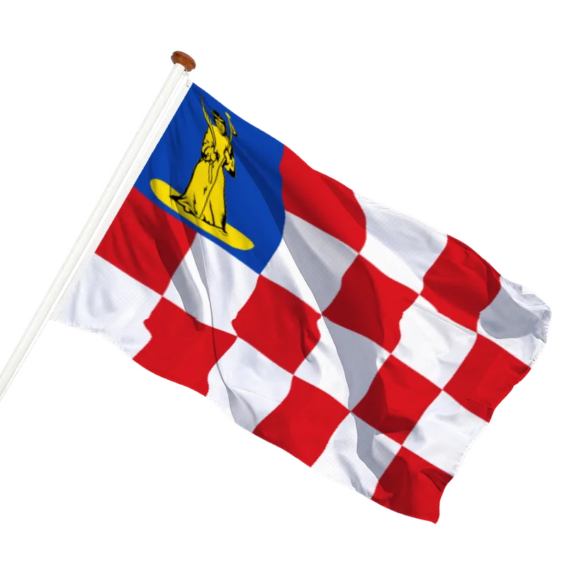 Vlag van Den Dungen