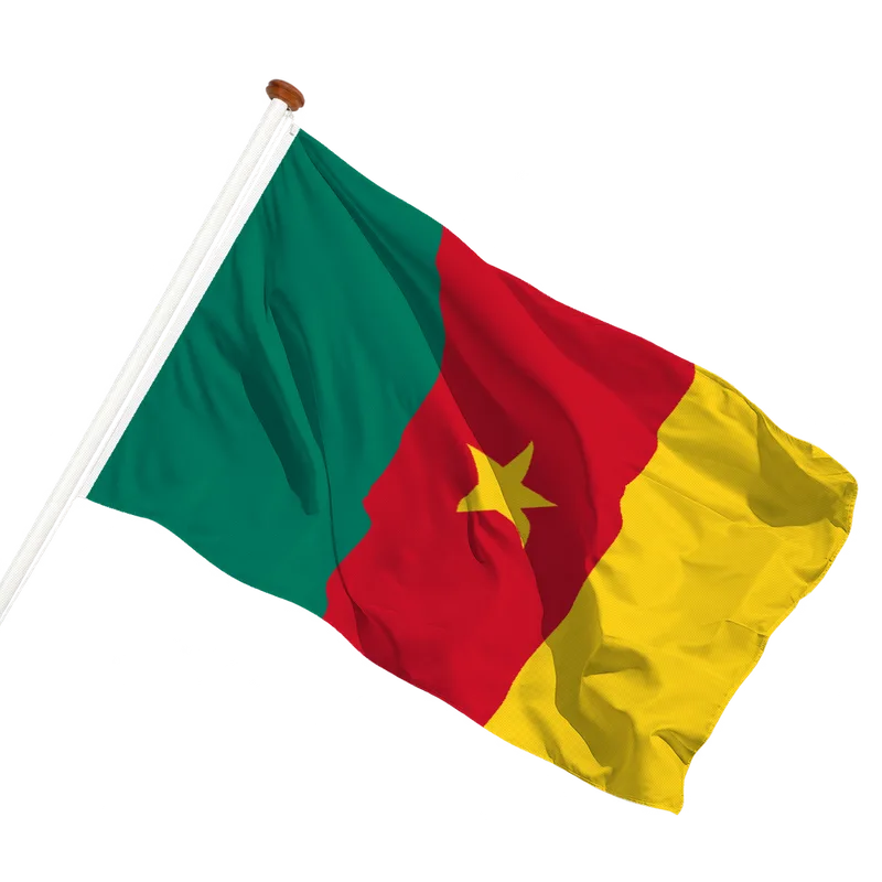 Vlag van Kameroen