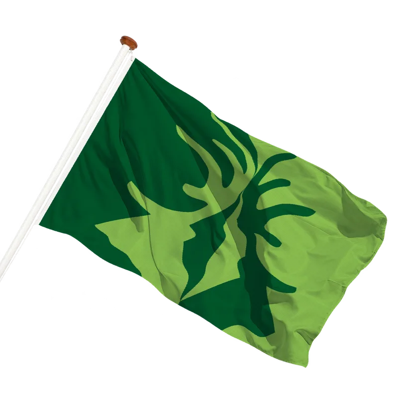 Vlag van Laag-Soeren