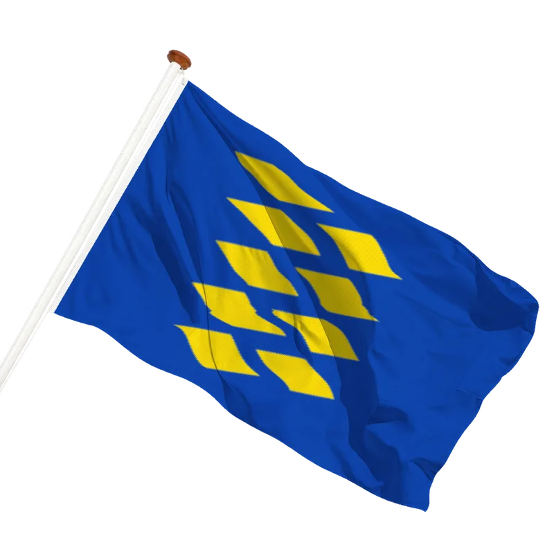 Vlag van Leimuiden