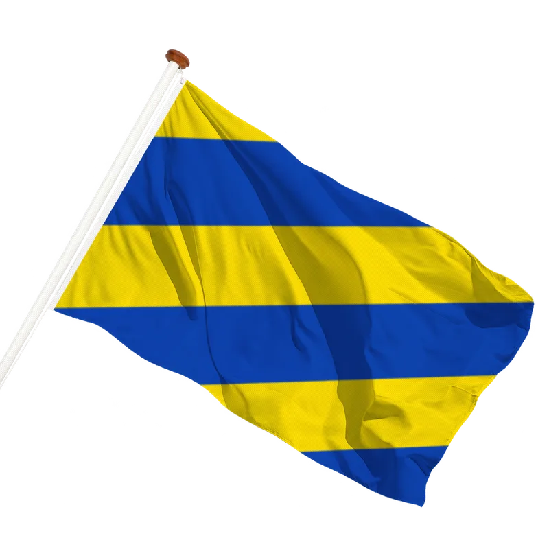 Vlag van Sommelsdijk