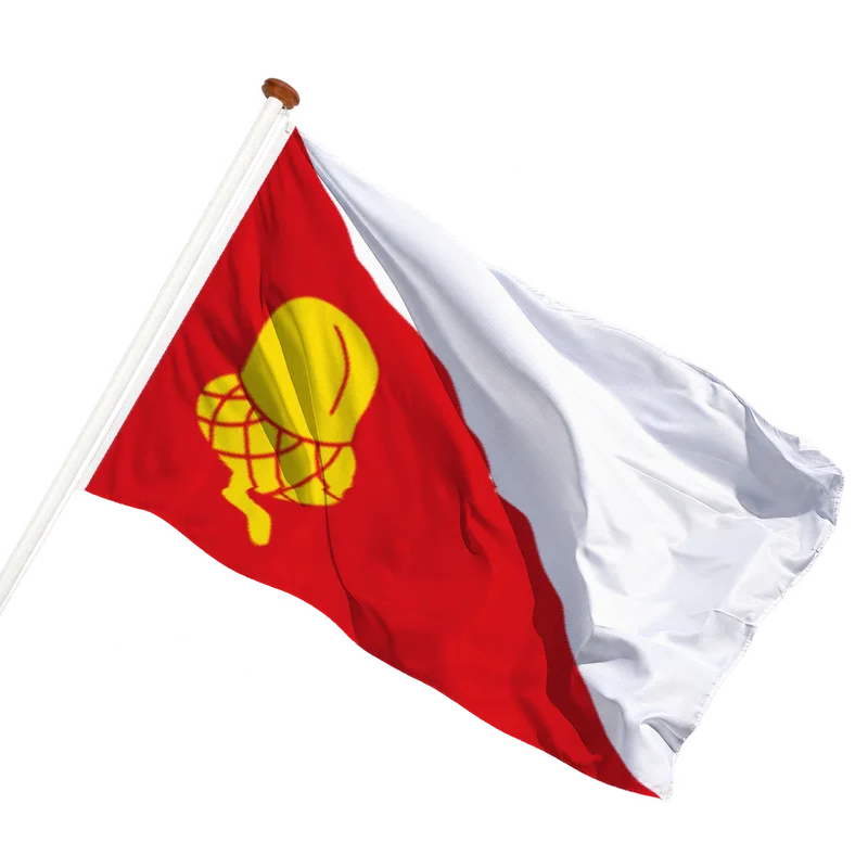 Vlag van Hantum