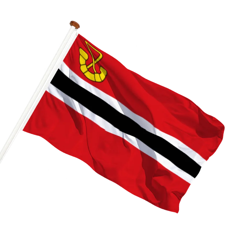 Vlag van Hardegarijp