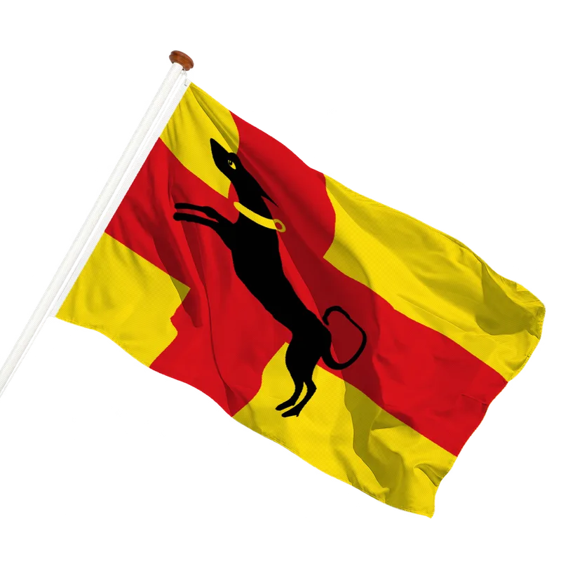 Vlag van Ruurlo