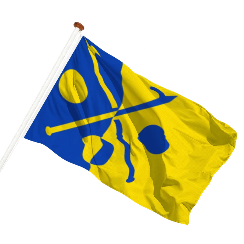 Vlag van Borculo