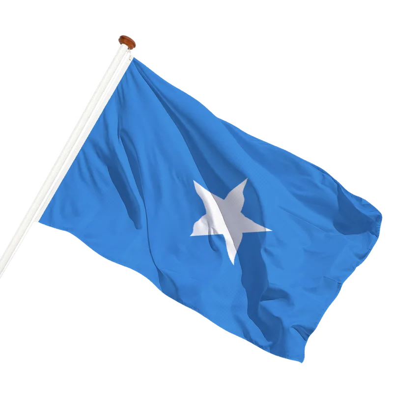 Vlag van Somalië
