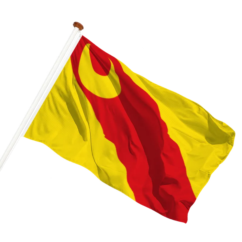 Vlag van Angerlo