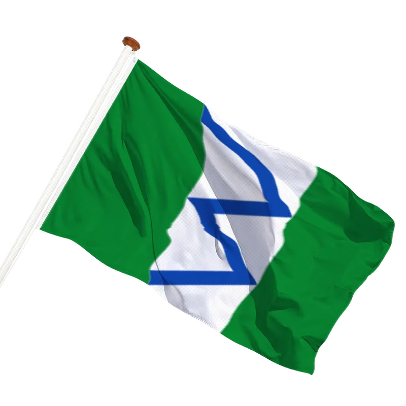 Vlag van Maasland