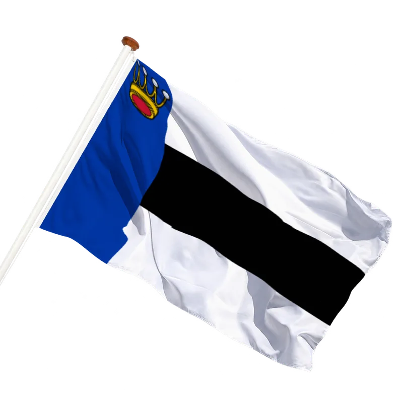 Vlag van Heerenveen