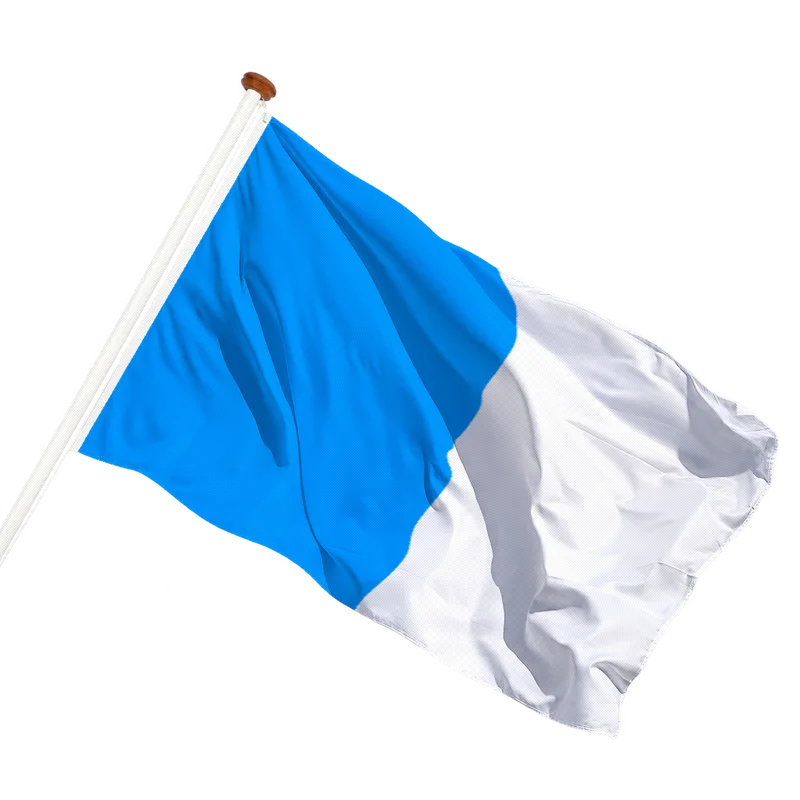 Vlag van Dinant