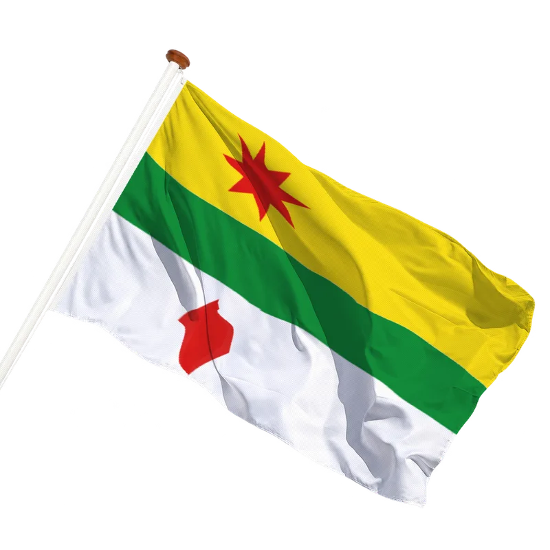 Vlag van Lansingerland