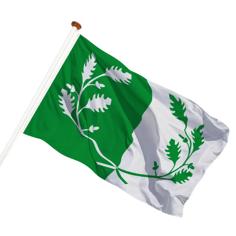 Vlag van Eeklo