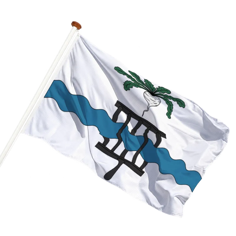 Vlag van Lokeren