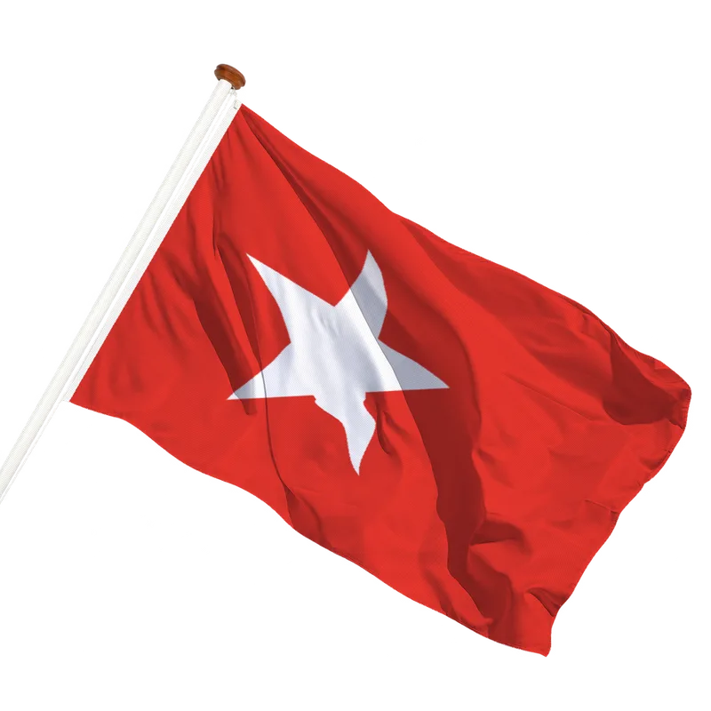 Vlag van Maastricht