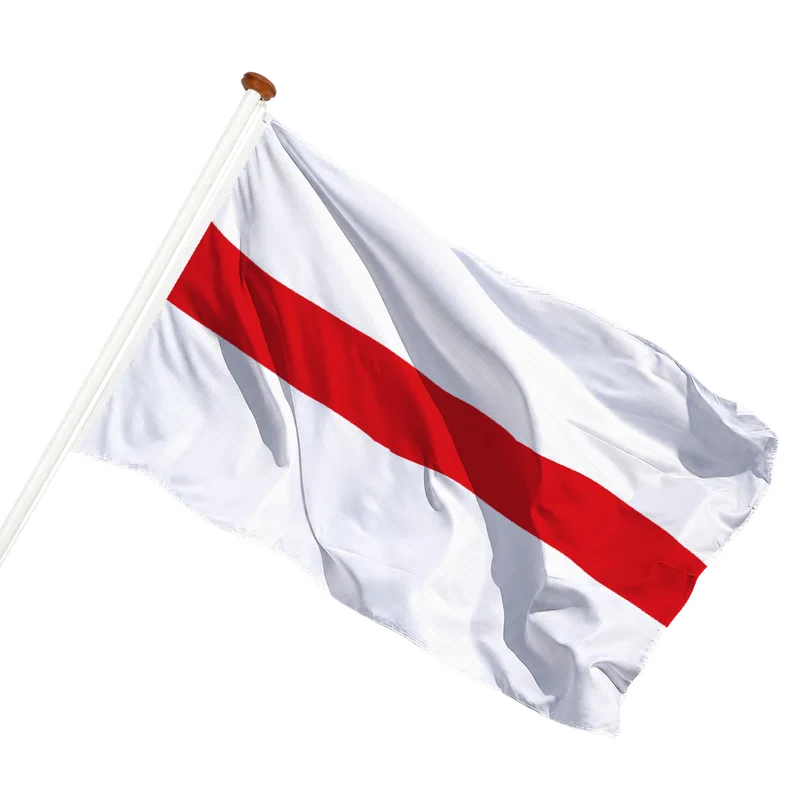Vlag van Dendermonde