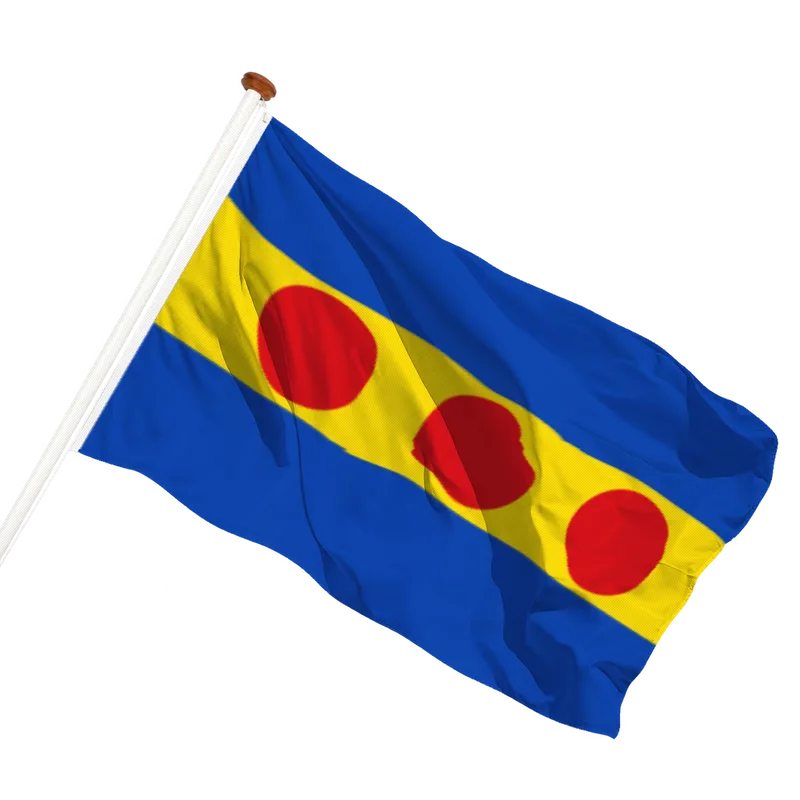 Vlag van Neede