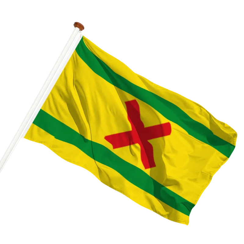 Vlag van Steenbergen