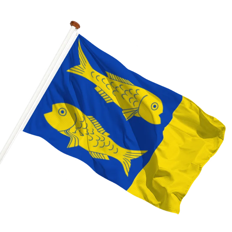 Vlag van Grou