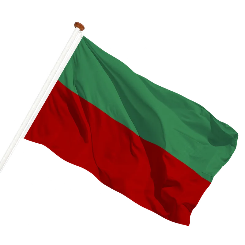 Vlag van Swalmen