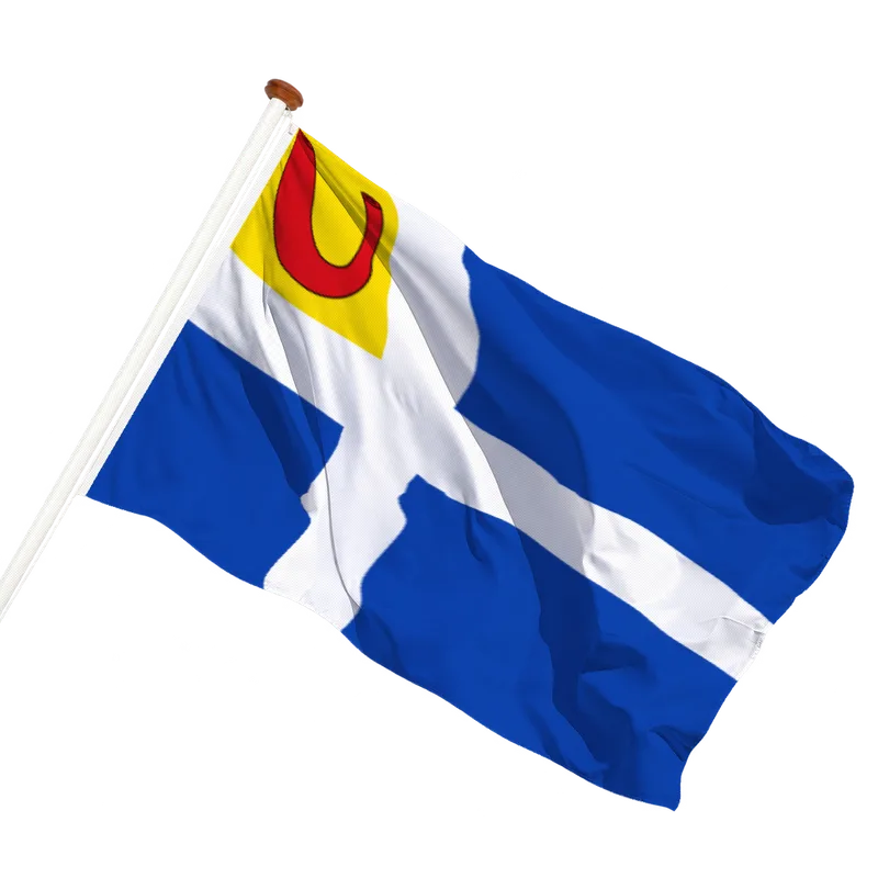Vlag van Heel