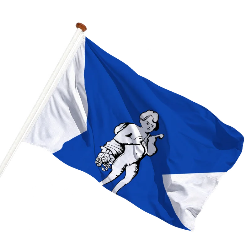 Vlag van Hengelo
