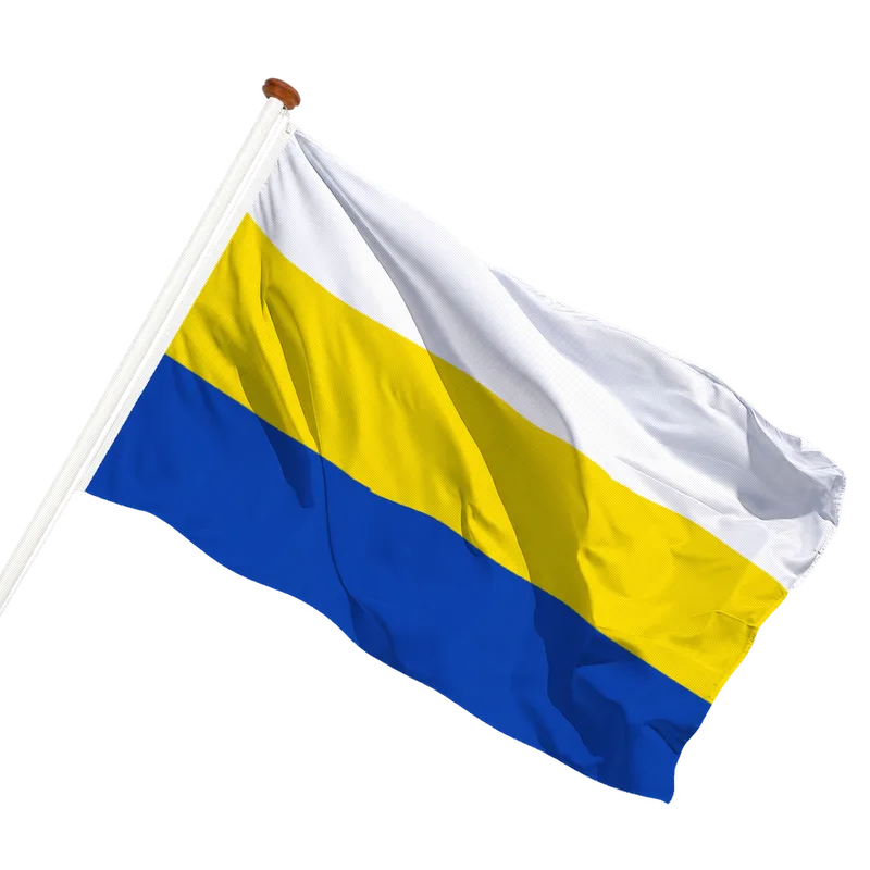 Vlag van Dodewaard