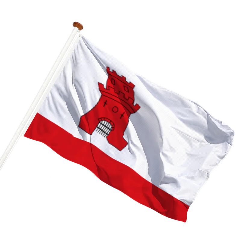 Vlag van Rijnsburg