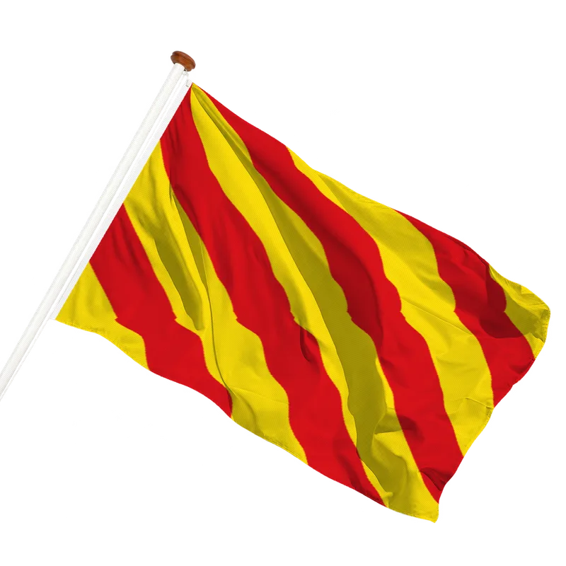 Vlag van Sassenheim