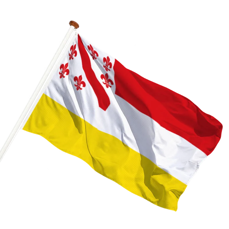 Vlag van Amerongen