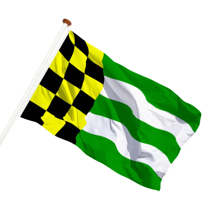 Vlag van Vorden