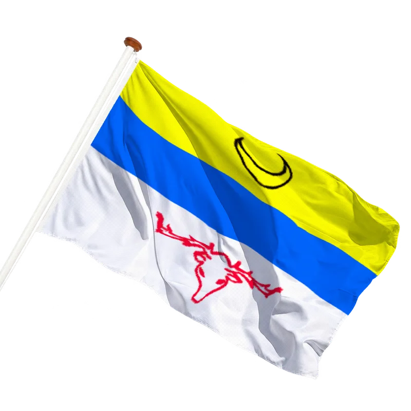 Vlag van Leidschendam
