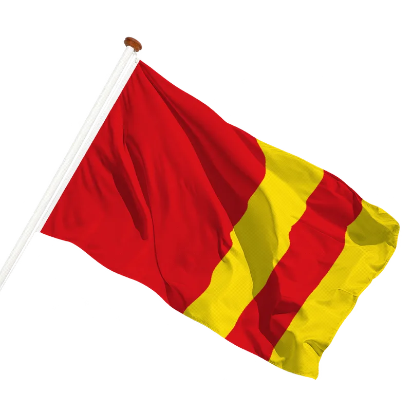 Vlag van Ter Aar
