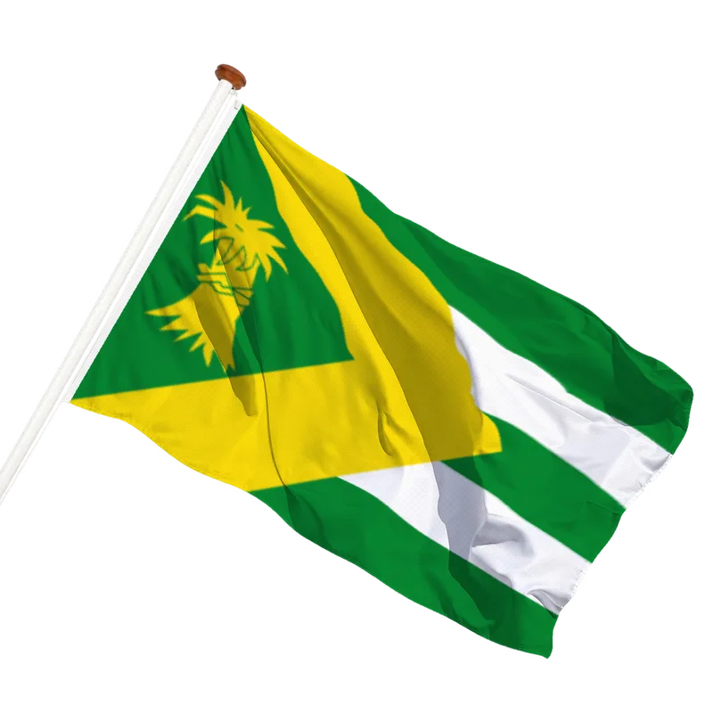 Vlag van Rien